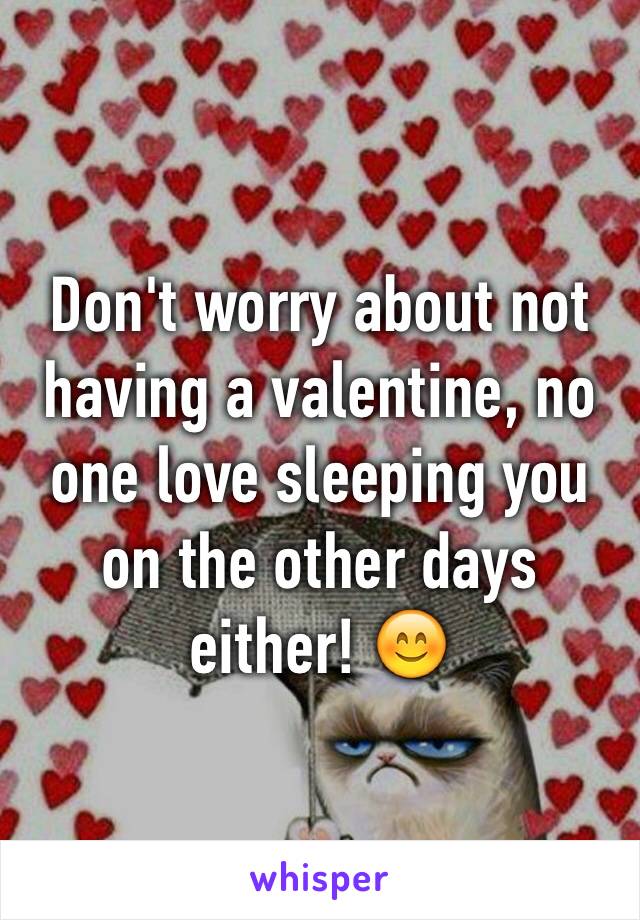Don't worry about not having a valentine, no one love sleeping you on the other days either! 😊