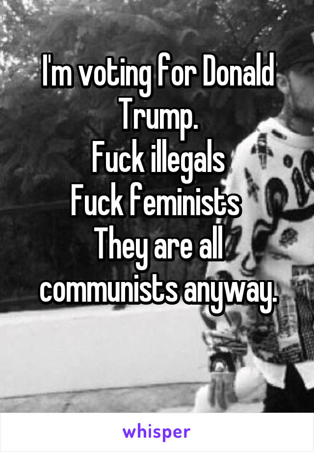 I'm voting for Donald Trump.
Fuck illegals
Fuck feminists 
They are all communists anyway.

 