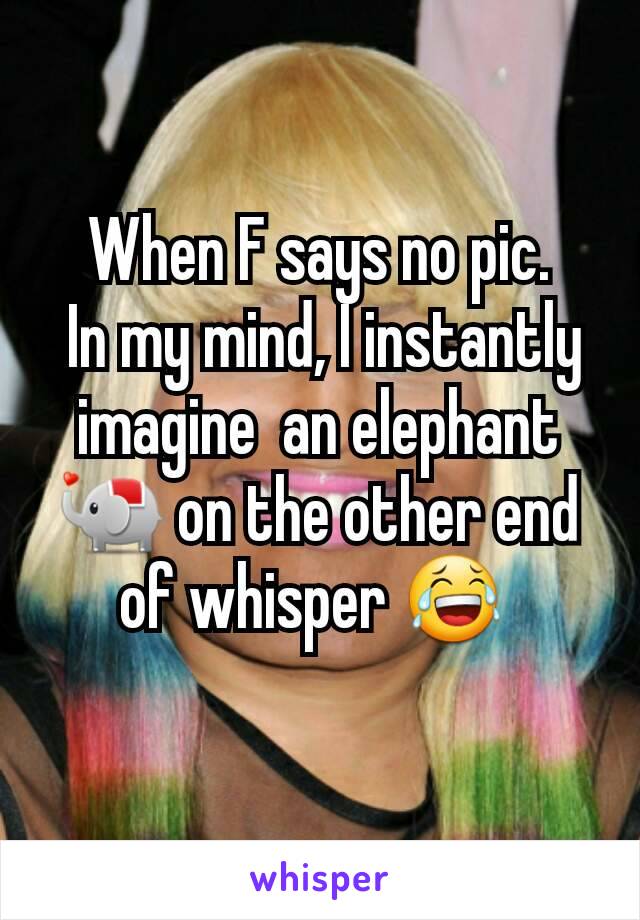 When F says no pic.
 In my mind, I instantly imagine  an elephant 🐘 on the other end of whisper 😂 