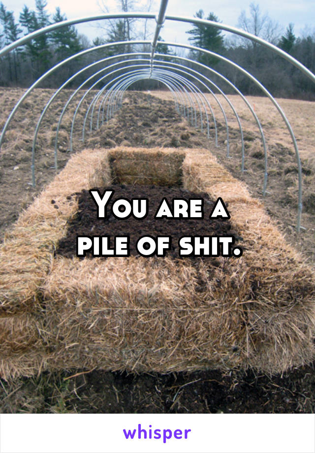 You are a
pile of shit.