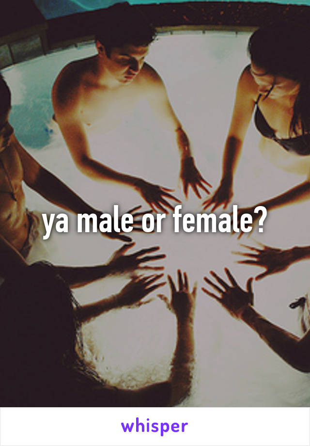 ya male or female?