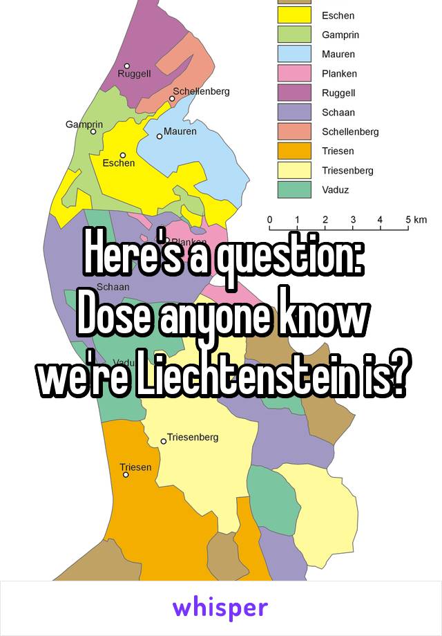 Here's a question:
Dose anyone know we're Liechtenstein is?