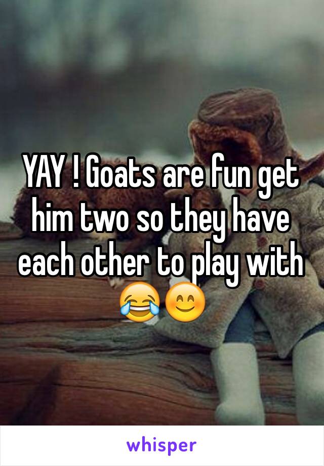 YAY ! Goats are fun get him two so they have each other to play with 😂😊