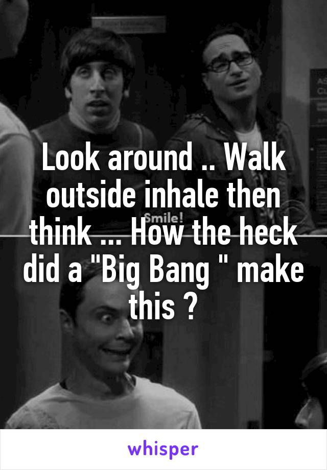 Look around .. Walk outside inhale then think ... How the heck did a "Big Bang " make this ?