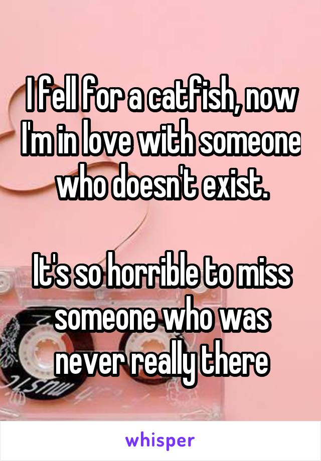 I fell for a catfish, now I'm in love with someone who doesn't exist.

It's so horrible to miss someone who was never really there