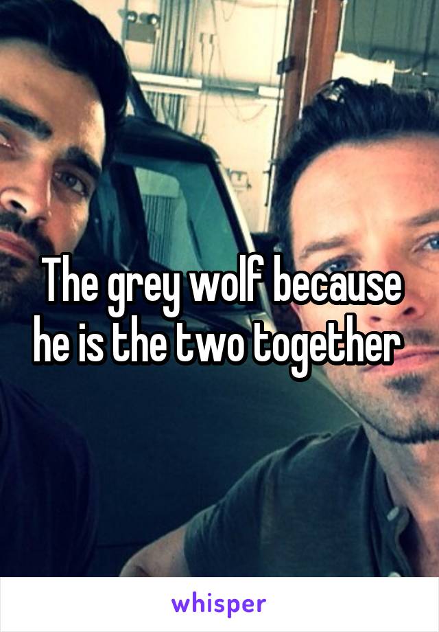The grey wolf because he is the two together 