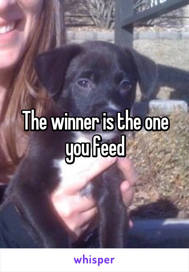 The winner is the one you feed