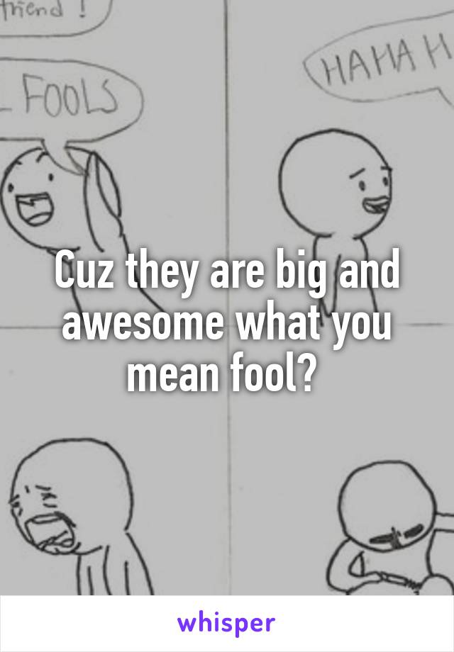 Cuz they are big and awesome what you mean fool? 