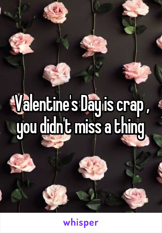 Valentine's Day is crap , you didn't miss a thing 