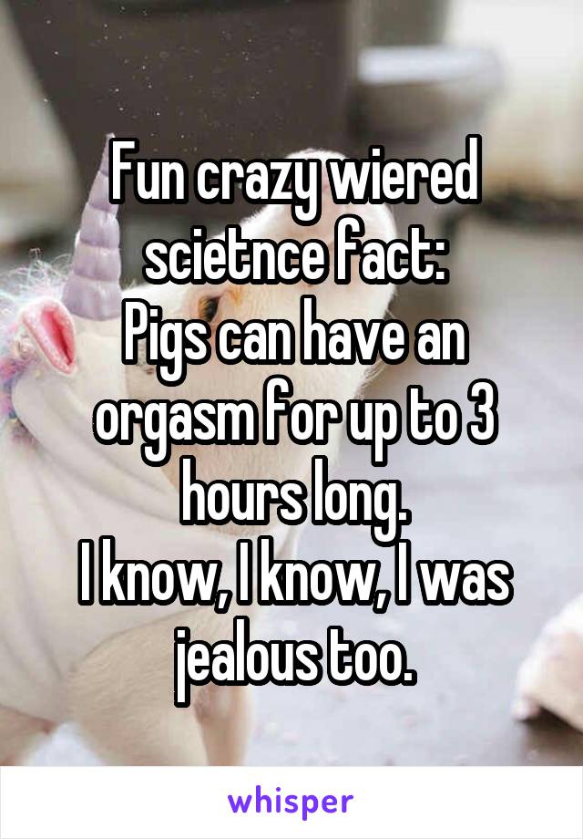 Fun crazy wiered scietnce fact:
Pigs can have an orgasm for up to 3 hours long.
I know, I know, I was jealous too.
