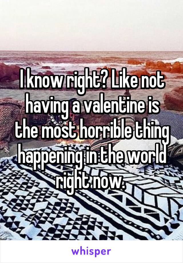 I know right? Like not having a valentine is the most horrible thing happening in the world right now. 