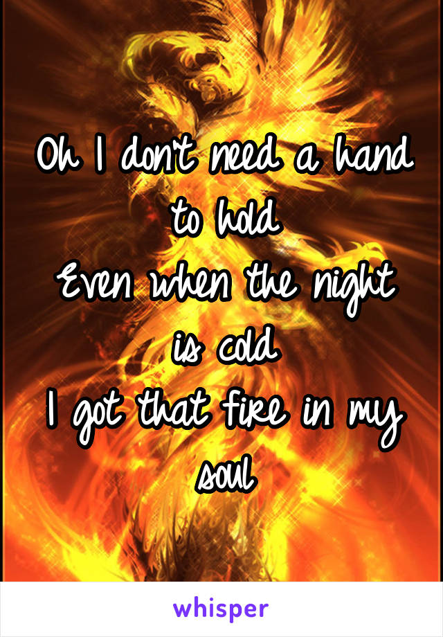 Oh I don't need a hand to hold
Even when the night is cold
I got that fire in my soul