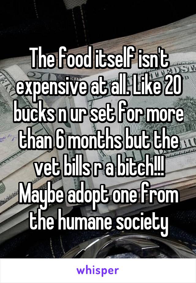 The food itself isn't expensive at all. Like 20 bucks n ur set for more than 6 months but the vet bills r a bitch!!! Maybe adopt one from the humane society