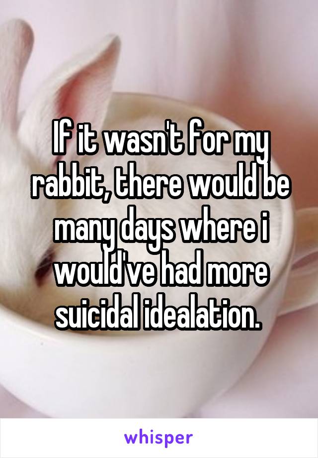 If it wasn't for my rabbit, there would be many days where i would've had more suicidal idealation. 