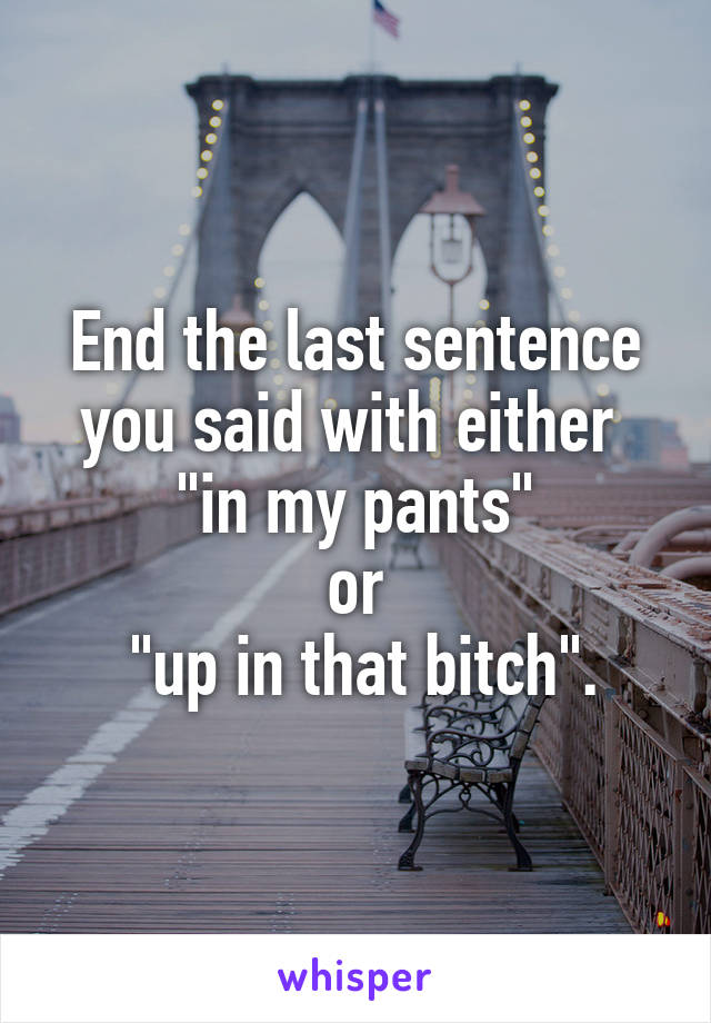 End the last sentence you said with either 
 "in my pants" 
or
 "up in that bitch".