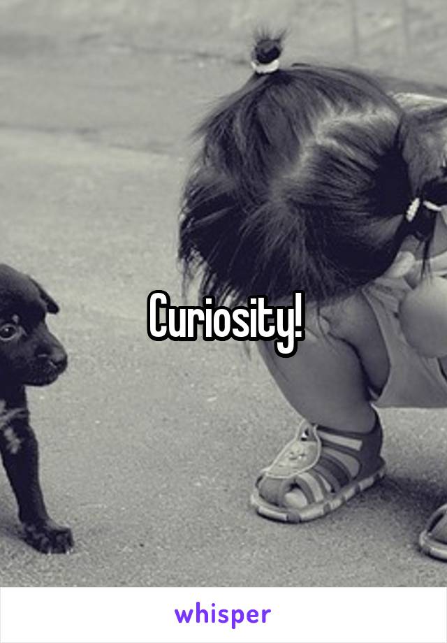 Curiosity!