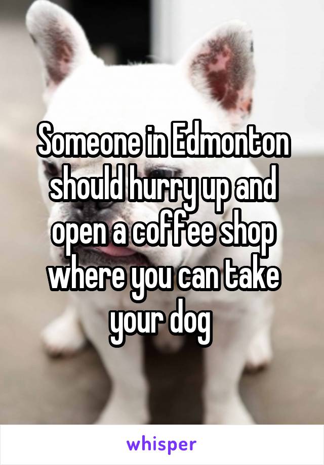 Someone in Edmonton should hurry up and open a coffee shop where you can take your dog 