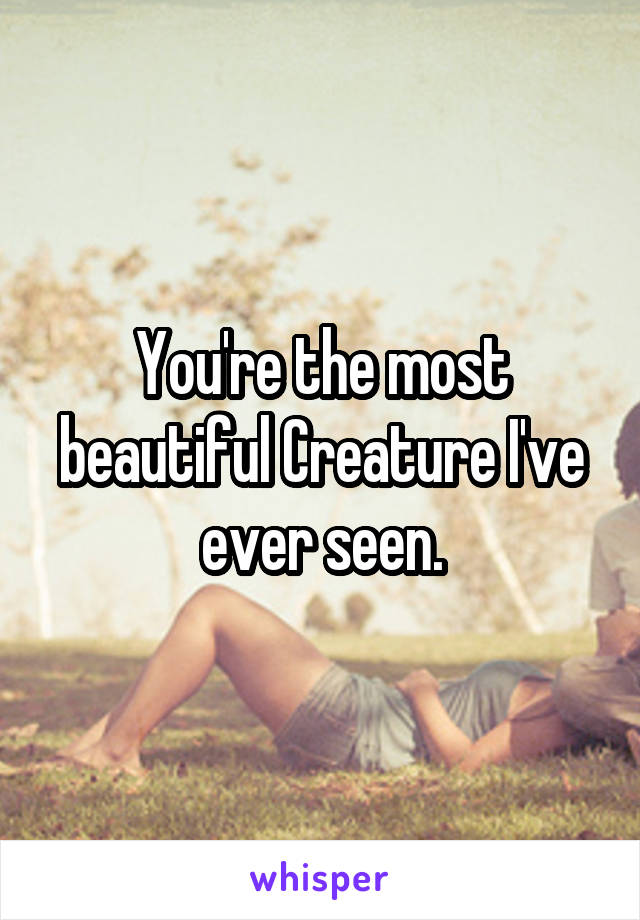 You're the most beautiful Creature I've ever seen.