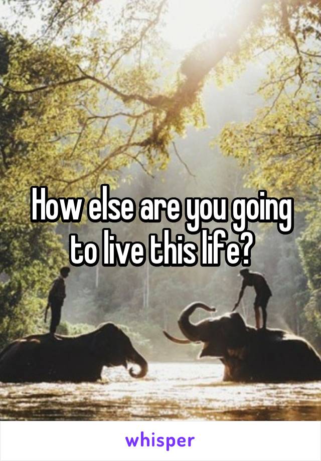 How else are you going to live this life?