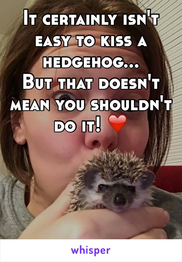 It certainly isn't easy to kiss a hedgehog...
But that doesn't mean you shouldn't do it! ❤️





