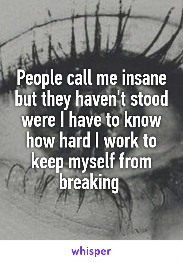 People call me insane but they haven't stood were I have to know how hard I work to keep myself from breaking 