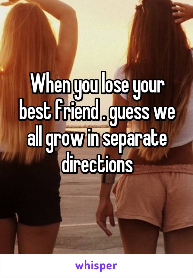 When you lose your best friend . guess we all grow in separate directions
