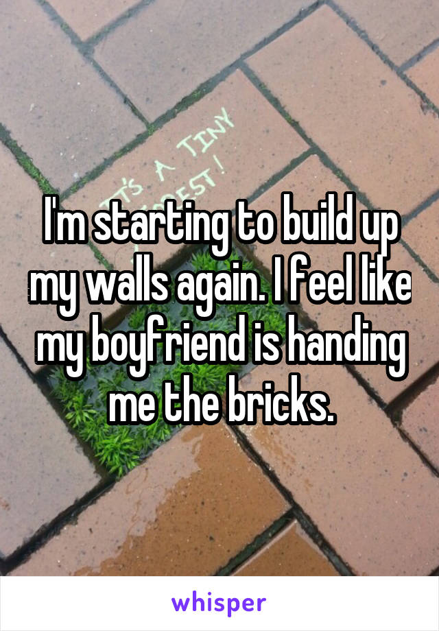 I'm starting to build up my walls again. I feel like my boyfriend is handing me the bricks.