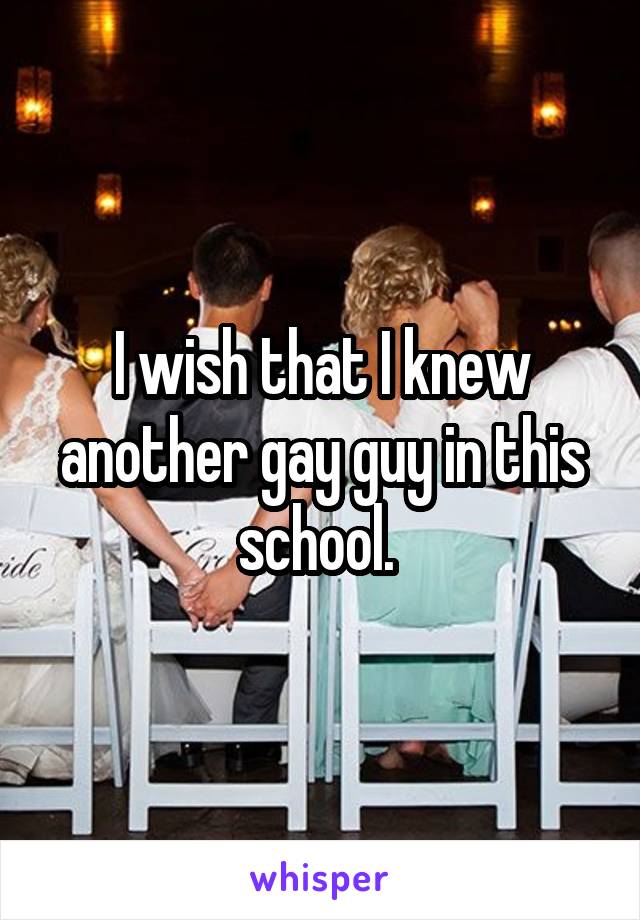 I wish that I knew another gay guy in this school. 