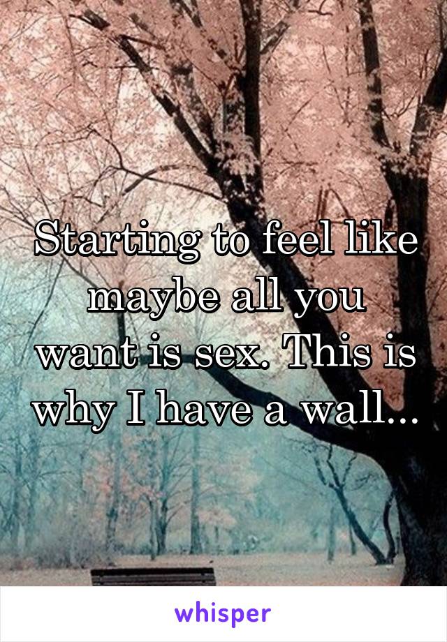 Starting to feel like maybe all you want is sex. This is why I have a wall...
