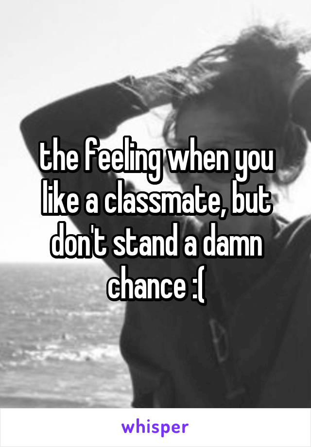 the feeling when you like a classmate, but don't stand a damn chance :(