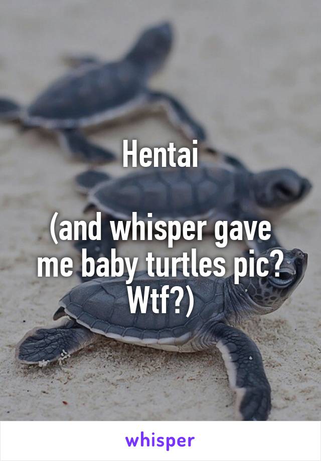 Hentai

(and whisper gave me baby turtles pic? Wtf?)