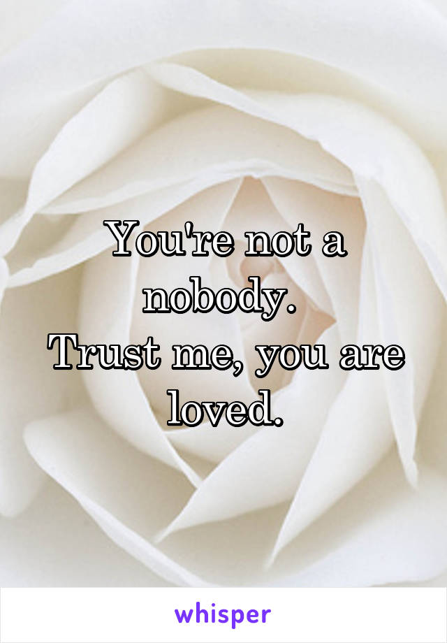 You're not a nobody. 
Trust me, you are loved.