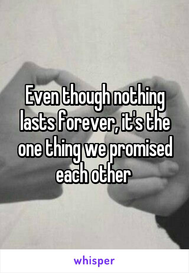 Even though nothing lasts forever, it's the one thing we promised each other 