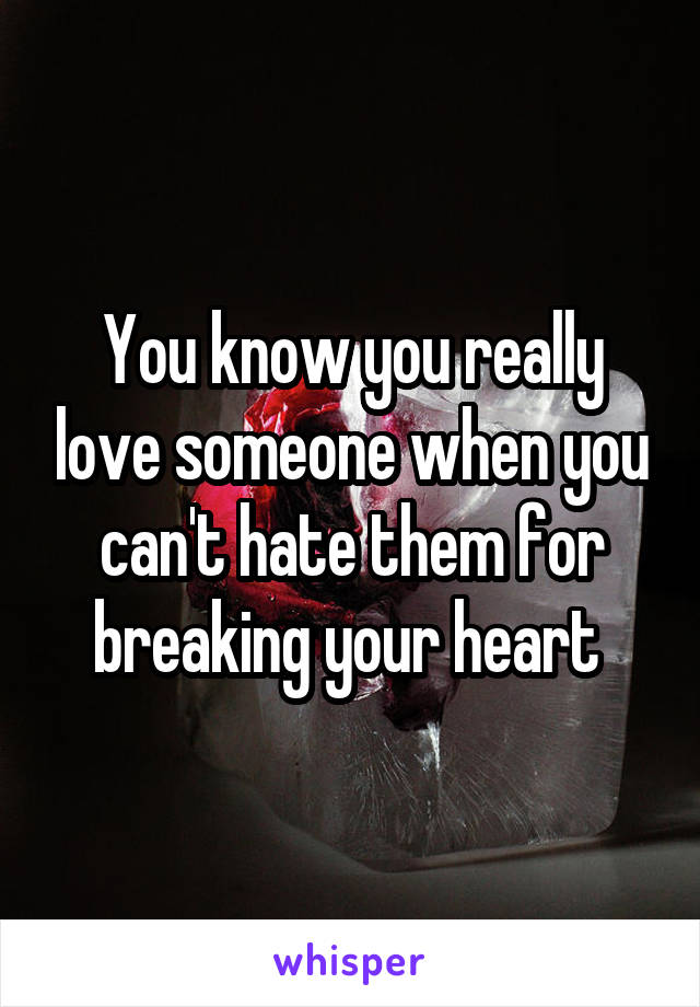 You know you really love someone when you can't hate them for breaking your heart 