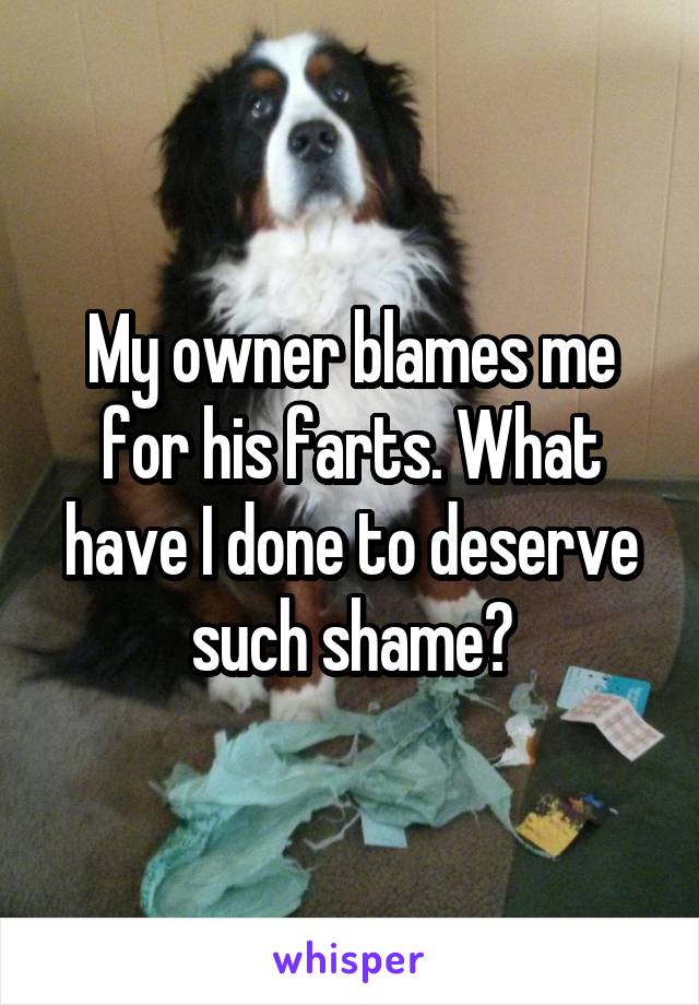 My owner blames me for his farts. What have I done to deserve such shame?