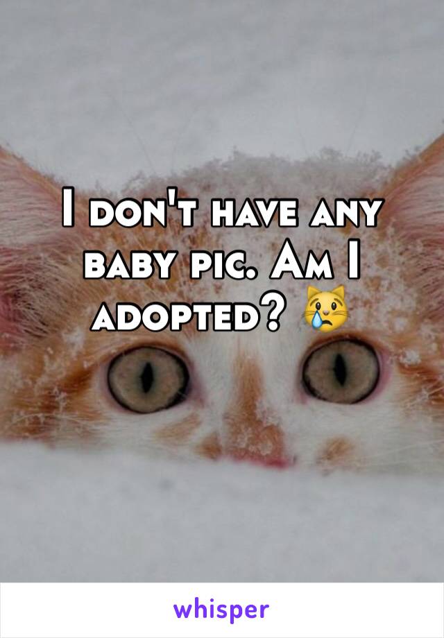 I don't have any baby pic. Am I adopted? 😿