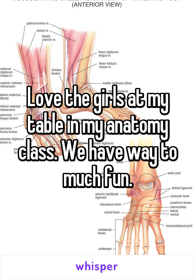 Love the girls at my table in my anatomy class. We have way to much fun.