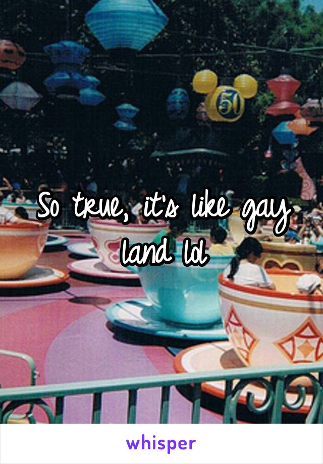 So true, it's like gay land lol