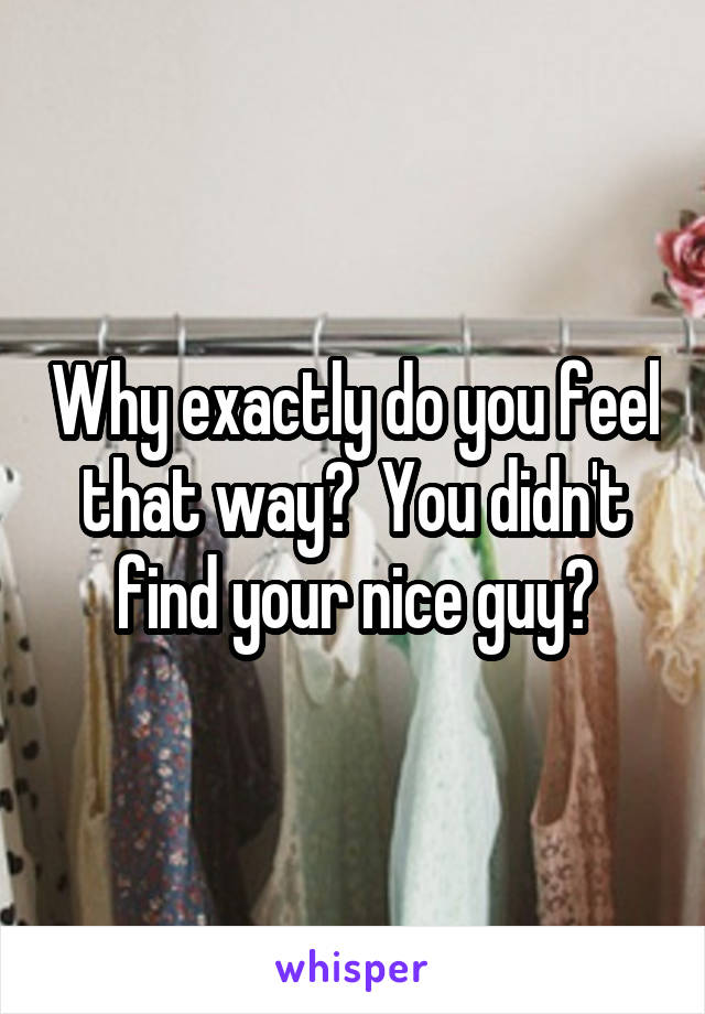 Why exactly do you feel that way?  You didn't find your nice guy?