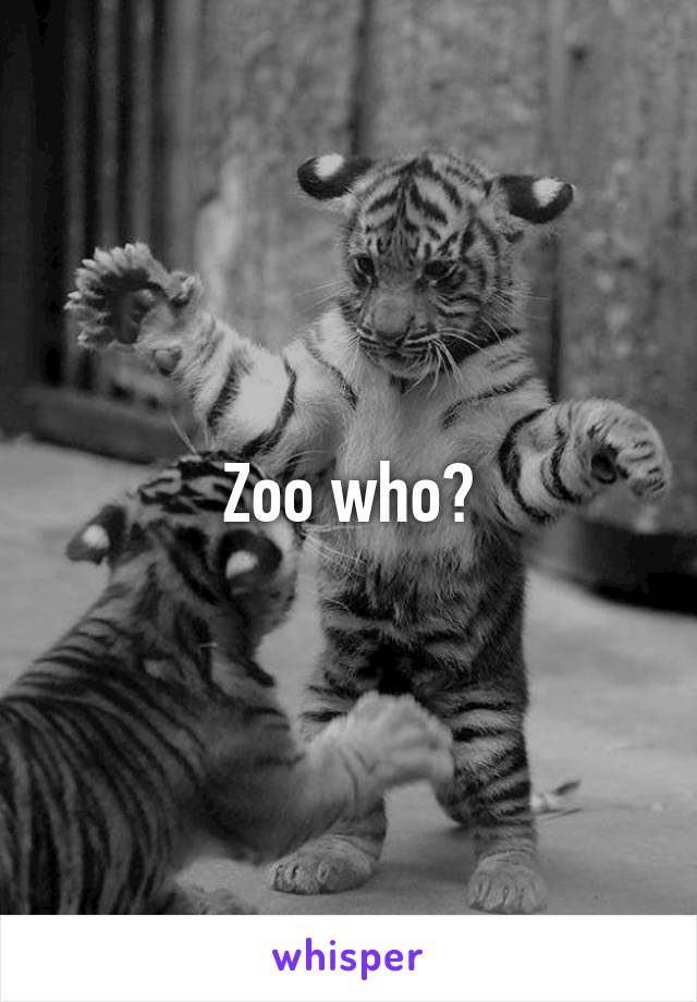 Zoo who?