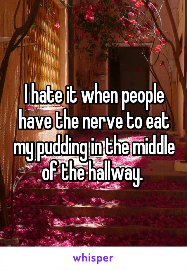 I hate it when people have the nerve to eat my pudding in the middle of the hallway. 