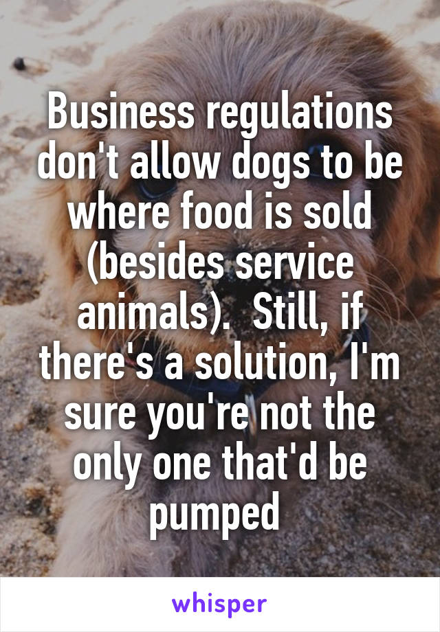 Business regulations don't allow dogs to be where food is sold (besides service animals).  Still, if there's a solution, I'm sure you're not the only one that'd be pumped 
