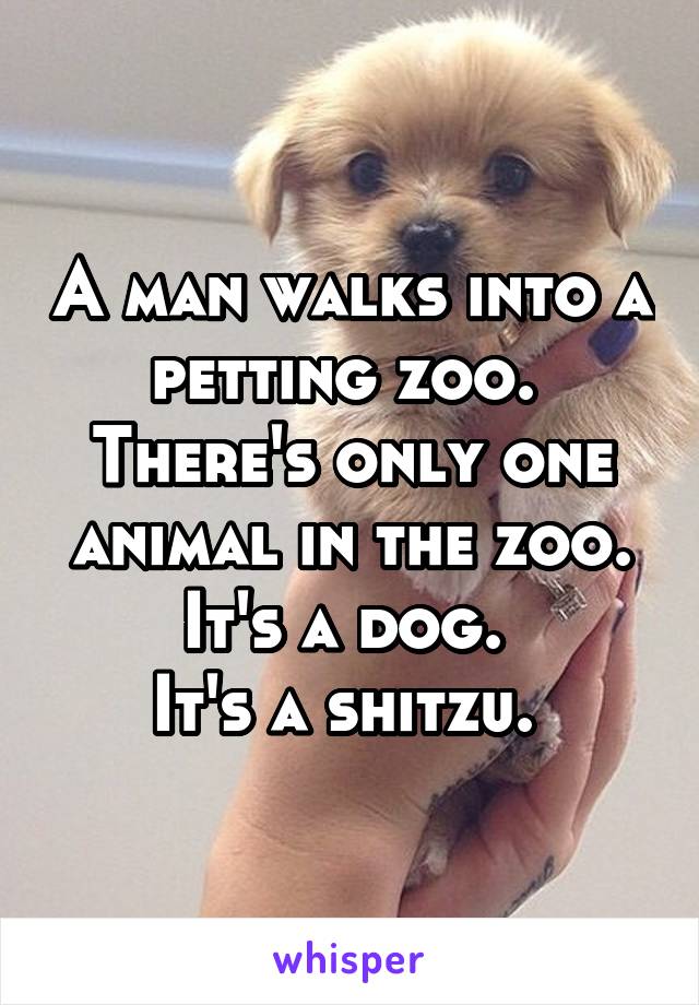 A man walks into a petting zoo. 
There's only one animal in the zoo. It's a dog. 
It's a shitzu. 