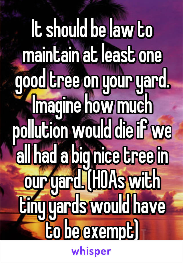 It should be law to maintain at least one good tree on your yard. Imagine how much pollution would die if we all had a big nice tree in our yard. (HOAs with tiny yards would have to be exempt)