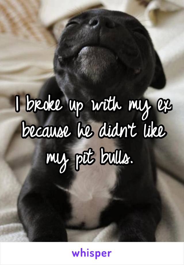 I broke up with my ex because he didn't like my pit bulls. 