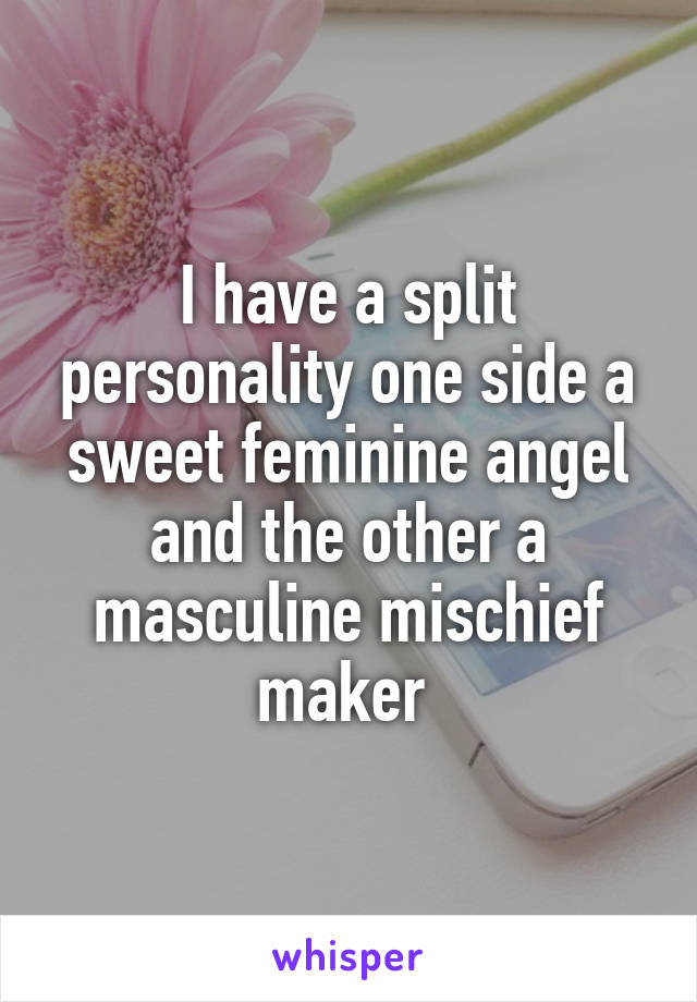 I have a split personality one side a sweet feminine angel and the other a masculine mischief maker 