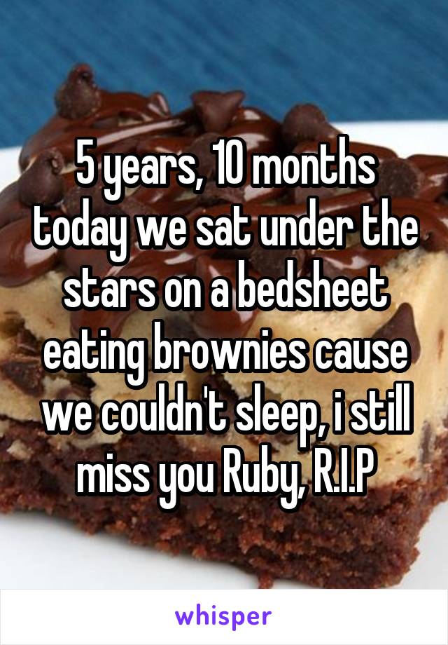 5 years, 10 months today we sat under the stars on a bedsheet eating brownies cause we couldn't sleep, i still miss you Ruby, R.I.P