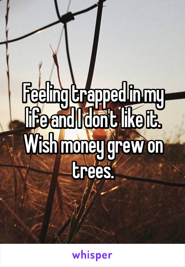Feeling trapped in my life and I don't like it. Wish money grew on trees.
