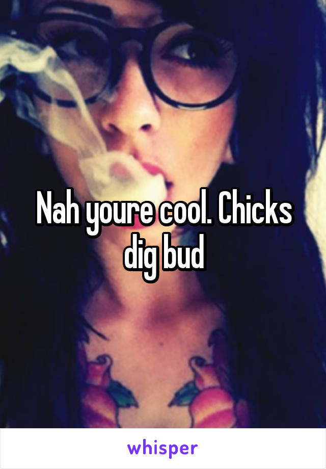 Nah youre cool. Chicks dig bud