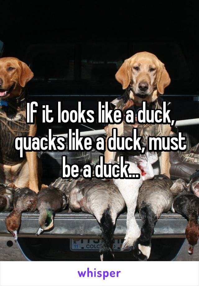 If it looks like a duck, quacks like a duck, must be a duck...